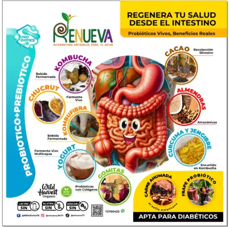 digestion