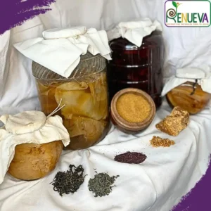 KOMBUCHA